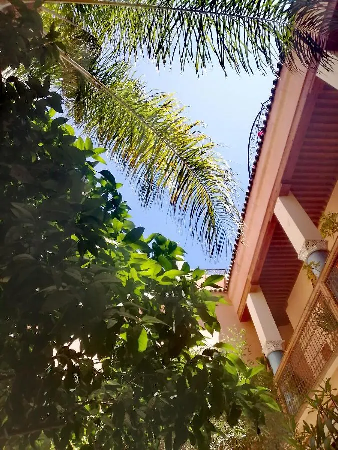 Les Bains De Fez Tara Bed & Breakfast